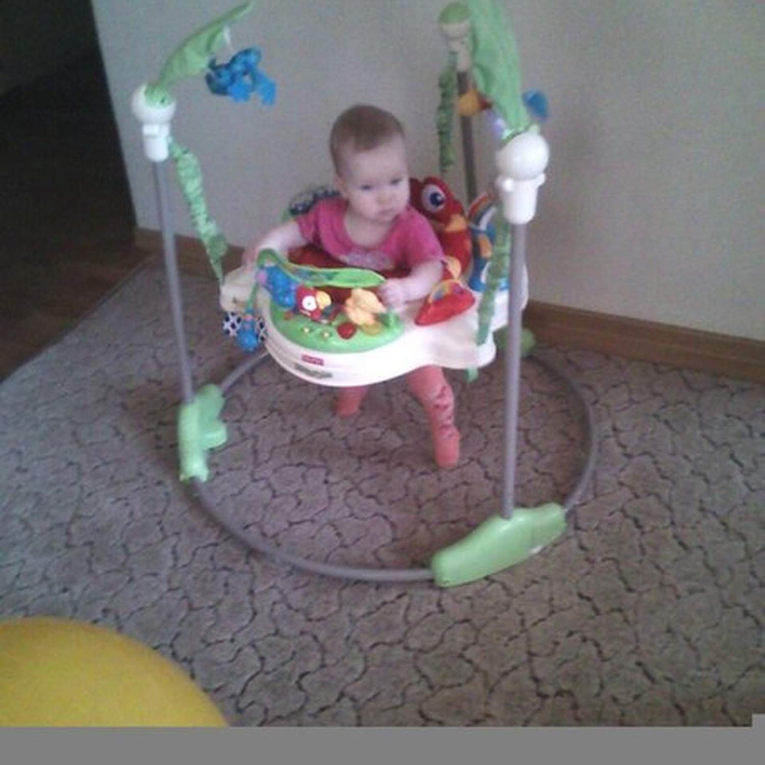 ПРЫГУНКИ «ТРОПИЧЕСКИЙ ЛЕС»